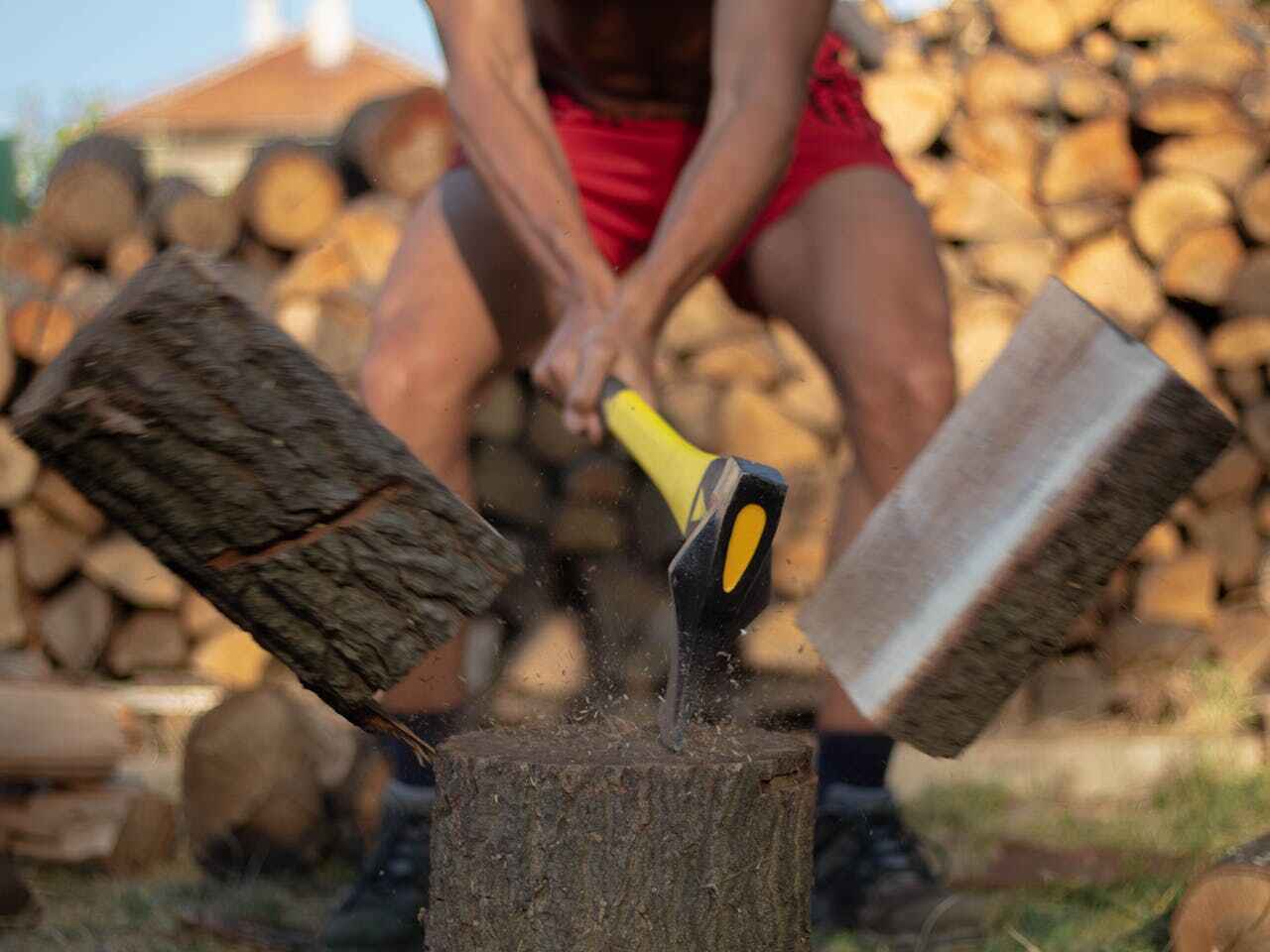 The Steps Involved in Our Tree Care Process in Cocoa Beach, FL